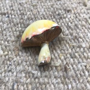 Vintage Magic Mushroom Pin
